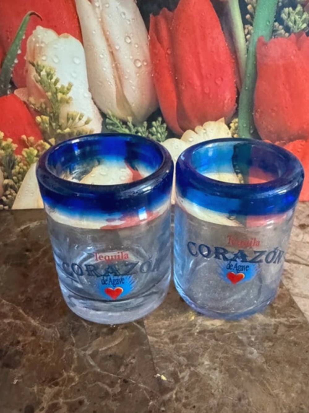 Corazon Tequila Hand Blown Blue-Rim Shot Glasses - Set of 2
